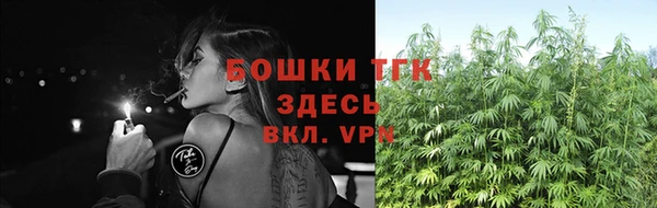 ALPHA PVP Киреевск