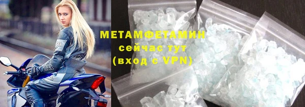 прущие грибы Бородино