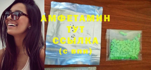 прущие грибы Бородино
