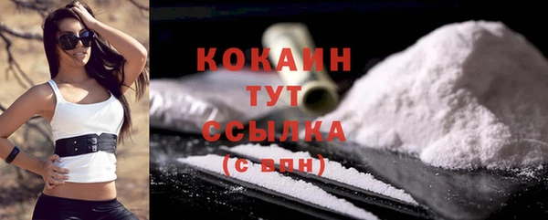 прущие грибы Бородино