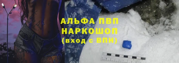 прущие грибы Бородино