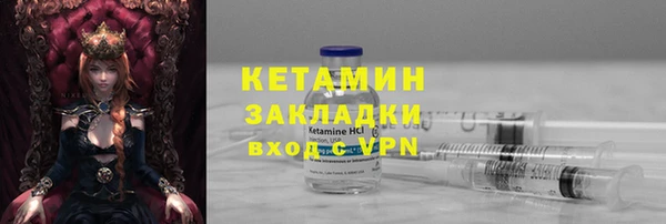 прущие грибы Бородино