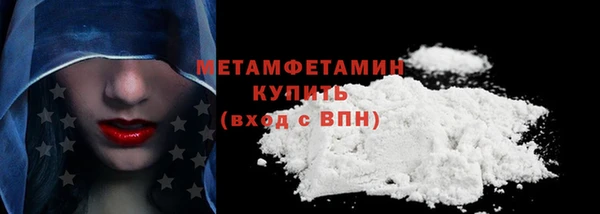 прущие грибы Бородино