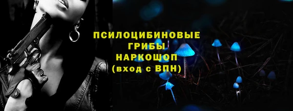 сатива Бронницы