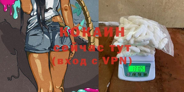 прущие грибы Бородино
