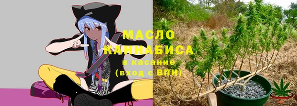 прущие грибы Бородино