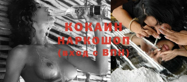 прущие грибы Бородино