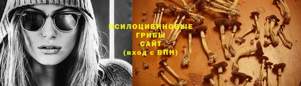 сатива Бронницы
