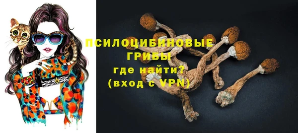 сатива Бронницы