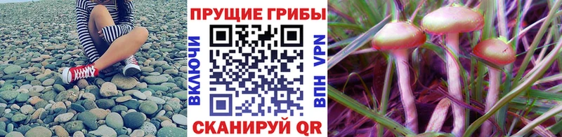 Псилоцибиновые грибы ЛСД  Джанкой 